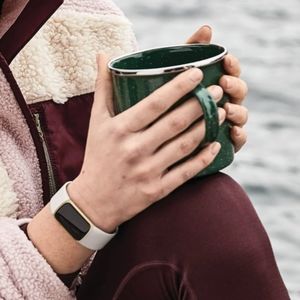 Fitbit Charge 5 (used)